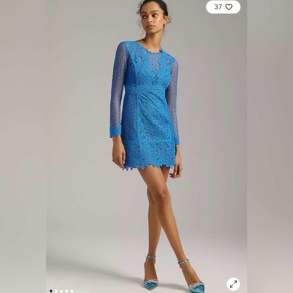 NWT HFT by Anthropologie Sheer Lace Mini Dress